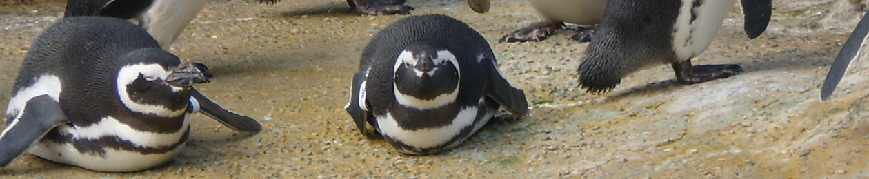 The Penguin Scientific